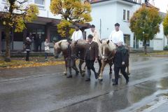 20261025_Andi_Scherer_LeonhardiPbg-02