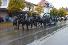 20261025_Andi_Scherer_LeonhardiPbg-11