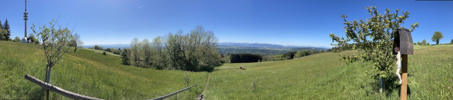 Auf dem Seniorensteig zum Hohenpeißenberg